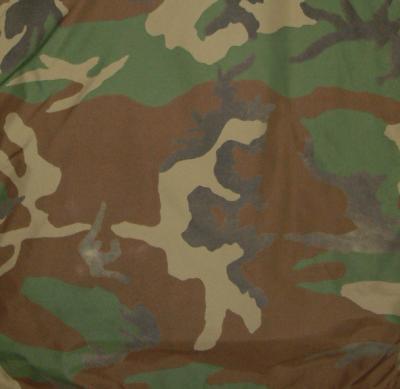 [American woodland camouflage, modern]