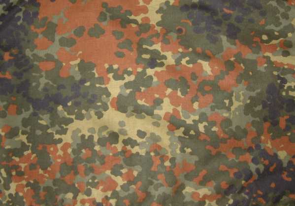 [Duitse Flecktarn-camouflage, modern]