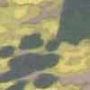 [Sample of camouflage pattern]
