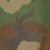 [Sample of camouflage pattern]